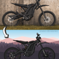 Custom Motorcycle Artwork
