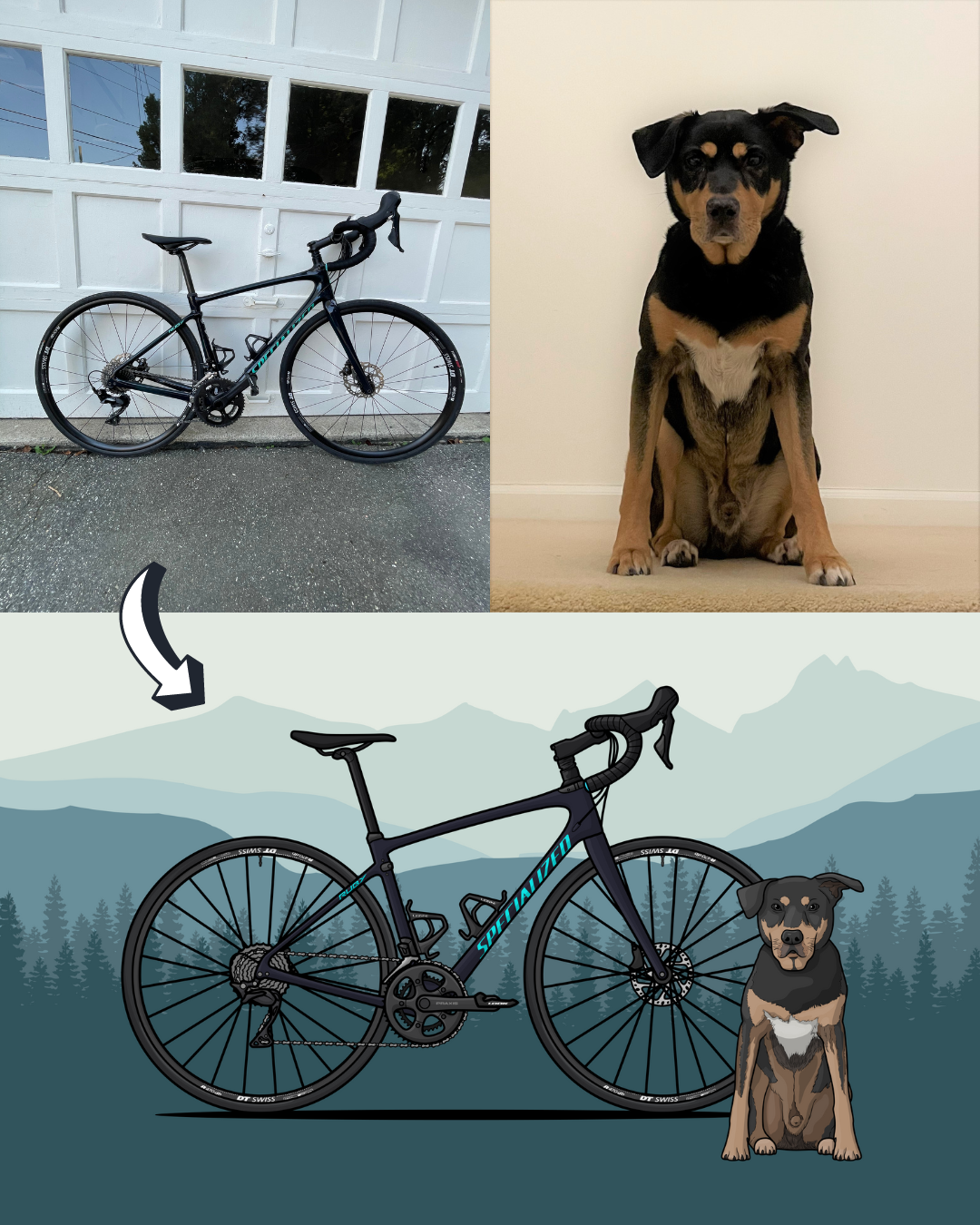 Custom Bike + Pet Artwork