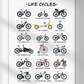 Life Cycles Print