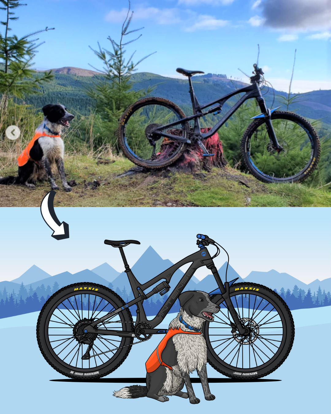 Custom Bike + Pet Artwork