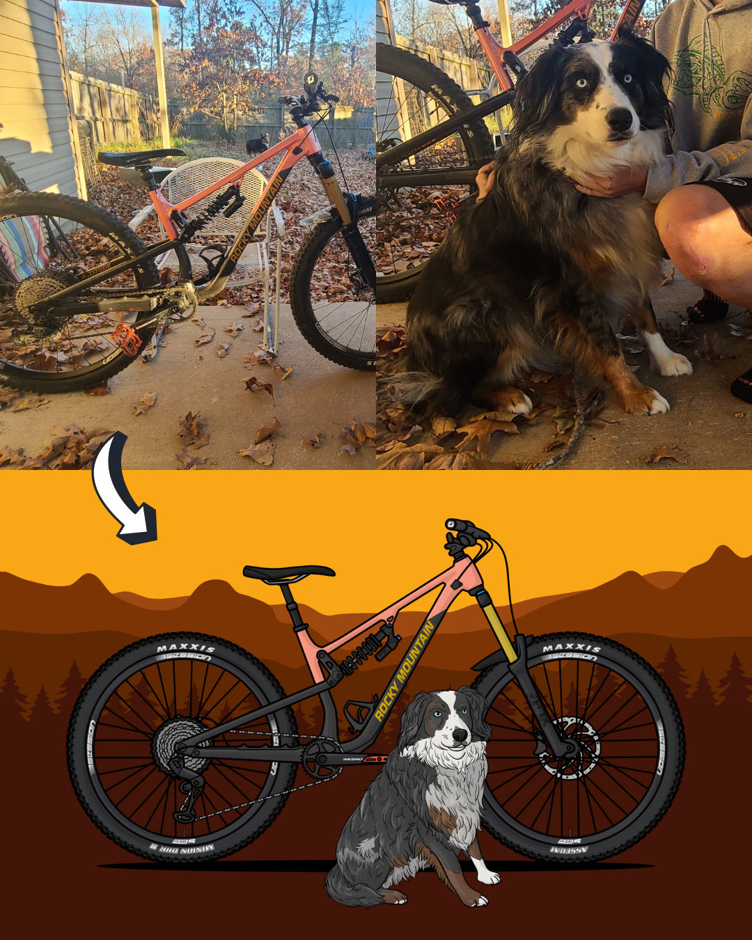 Custom Bike + Pet Artwork