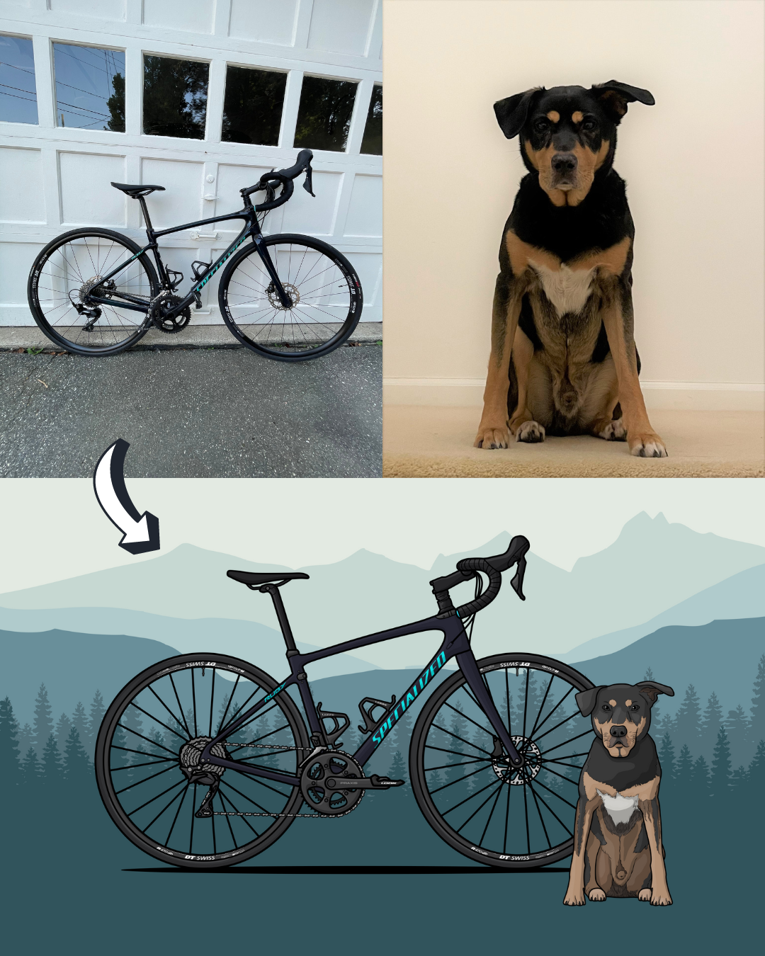 Draw My Bike + Pet | Personalized Digital Artwork