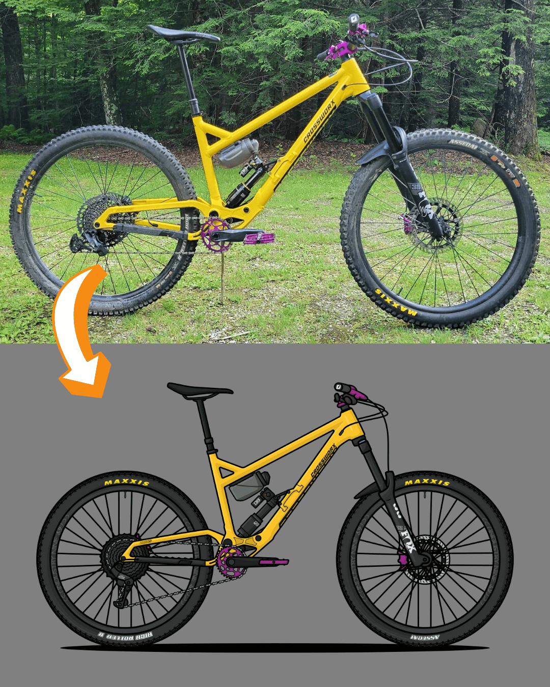 Draw My Bike Personalized Digital Artwork Stand Out Bikes